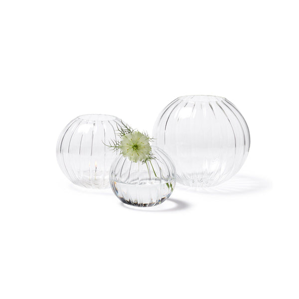 Round Glass Transparent Vase Planter Home Décor