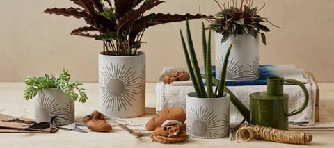 sunrise-to-sunset planters