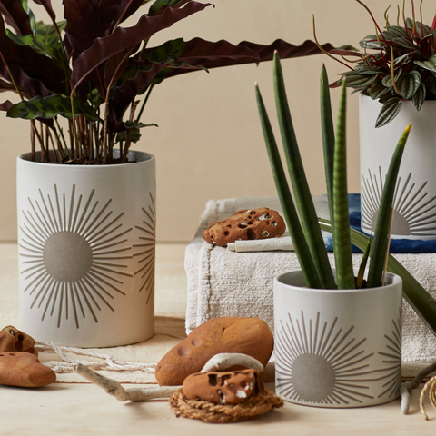 sunrise-to-sunset planters